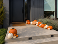 The Classic (30-40 assorted pumpkins)