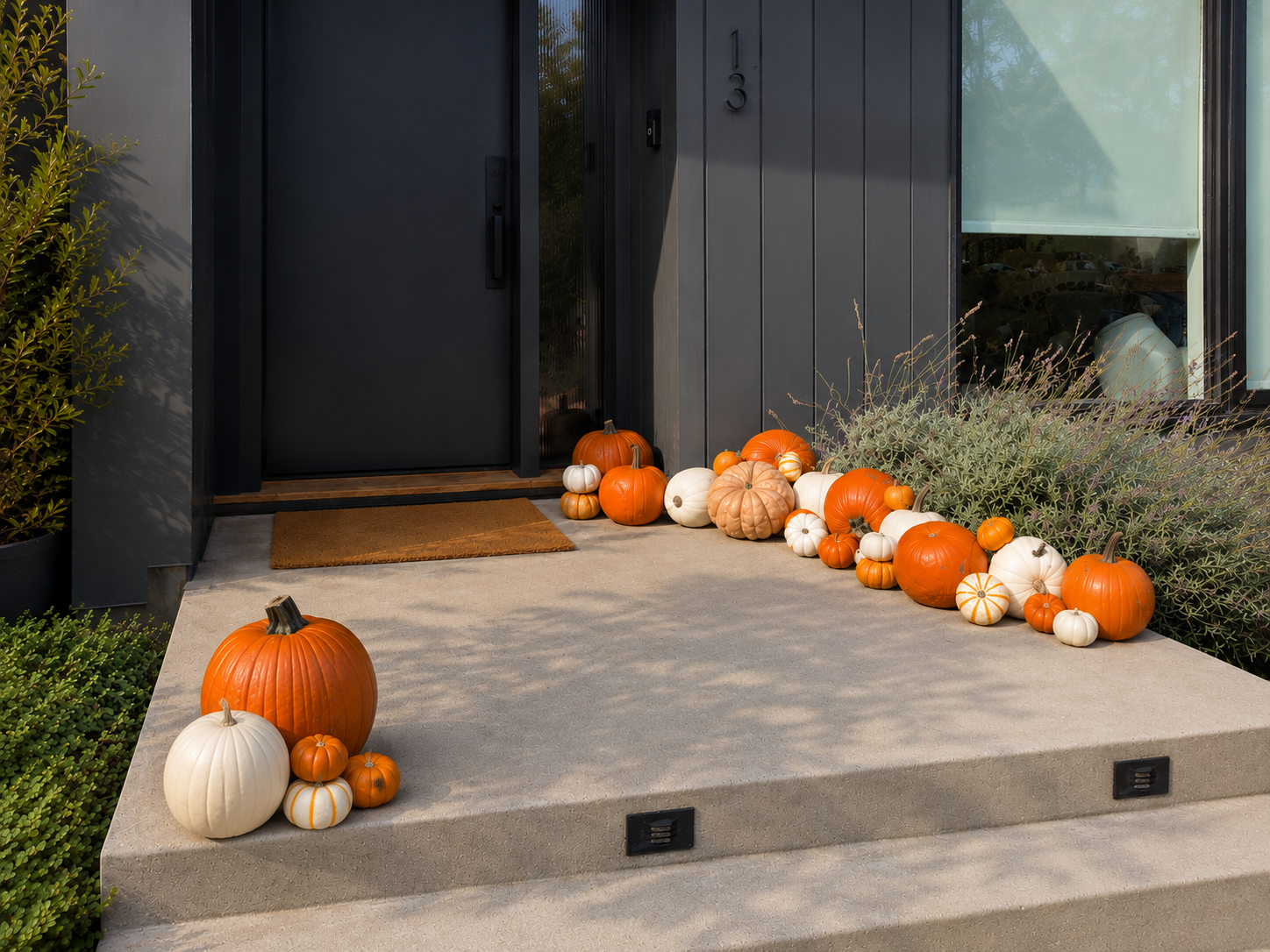 The Classic (30-40 assorted pumpkins)