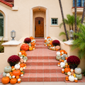 The Estate (100-150 assorted pumpkins)