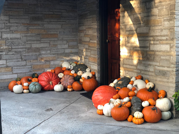 The Premier Package (Approx. 120 Assorted Pumpkins with Color Palette & Optional Add-Ons)